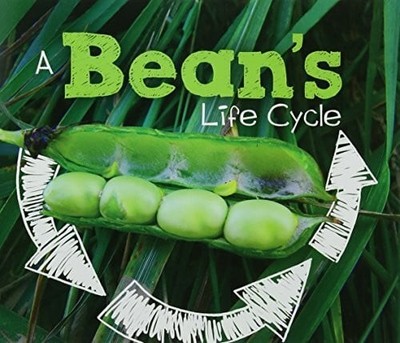 A Bean's Life Cycle (Explore Life Cycles) Buch Raintree