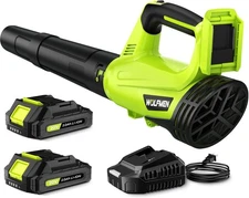 Leaf Blower, Electric Cordless Blower with 2 Batteries and A-Green 