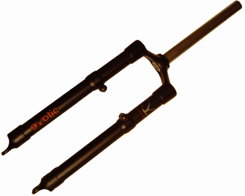 eXotic 29er Lightweight Alu Rigid MTB Fork for Cross Country Bike,Disc & V Mount - Picture 1 of 12