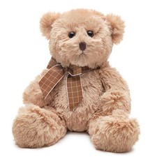 Lil' Bensen 10 in Small Teddy Bear Stuffed Animal Toy - Cuddly Teddy Bear for