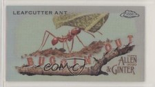2020 Topps Allen & Ginter Chrome Mini Buggin' Out! Leafcutter Ant #MBOC-11 07qr