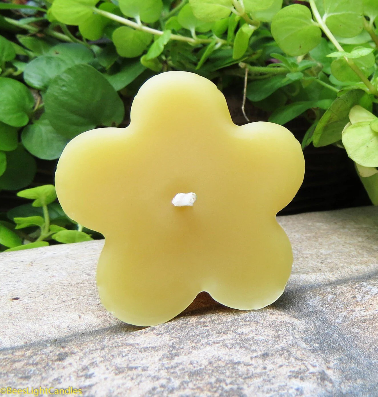 Clover Floating Beeswax Candles