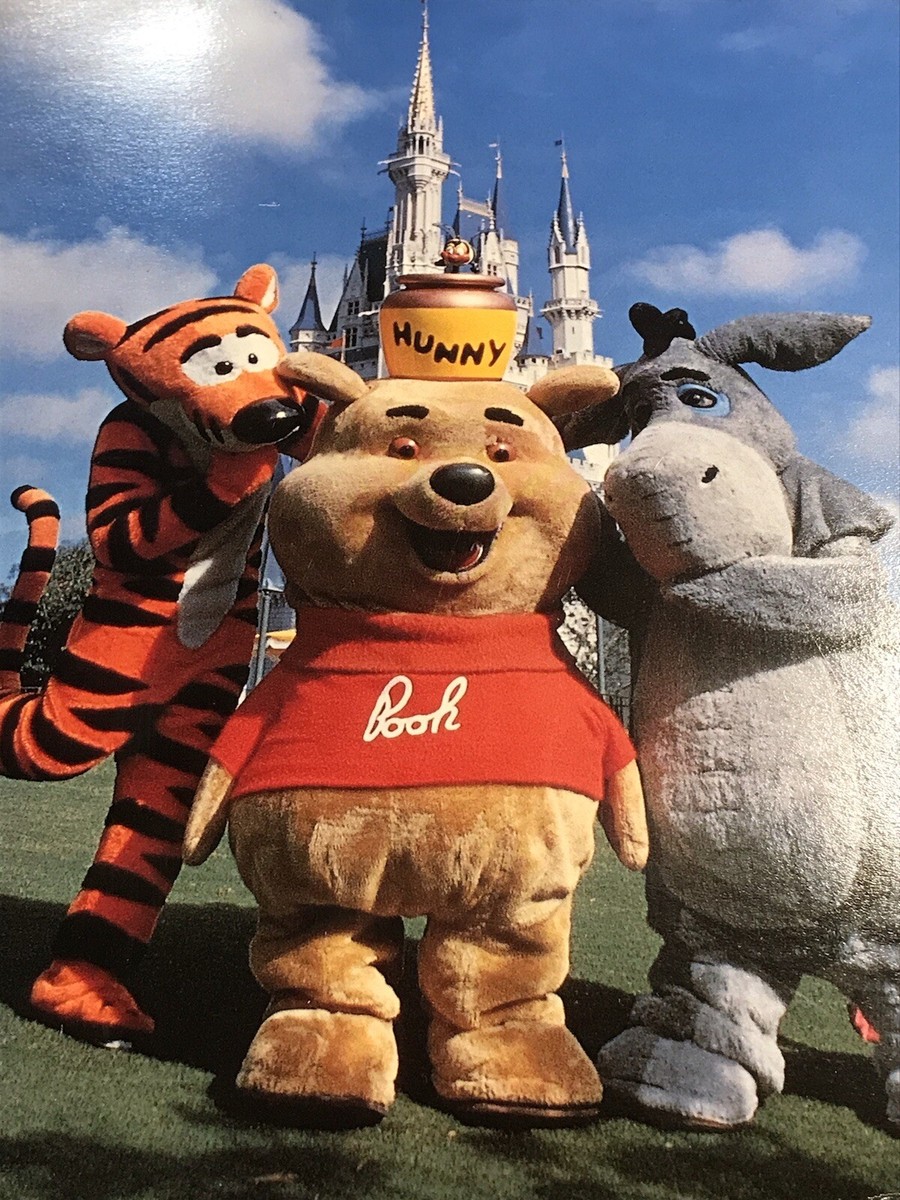 1985 Walt Disney Photo Prints WINNIE THE POOH & TIGGER 8x10 1985 Walt Disney Photo Prints WINNIE THE POOH & TIGGER 8x10