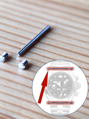 Watch Band Screw Tube Fit For VC Vacheron Constantin Overseas Chronograph 49150