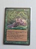 Hungry Mist (Art A) - Homelands - MP - MTG Magic - Common - Creature 