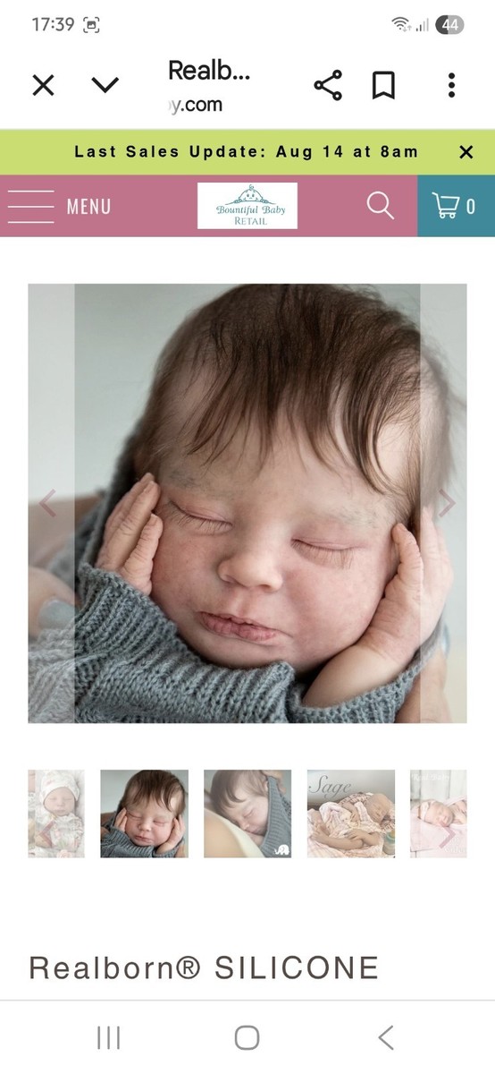 Silicone Bountiful Baby Doll Kit 🤎 LAST ONE ❤️Reborn Sage