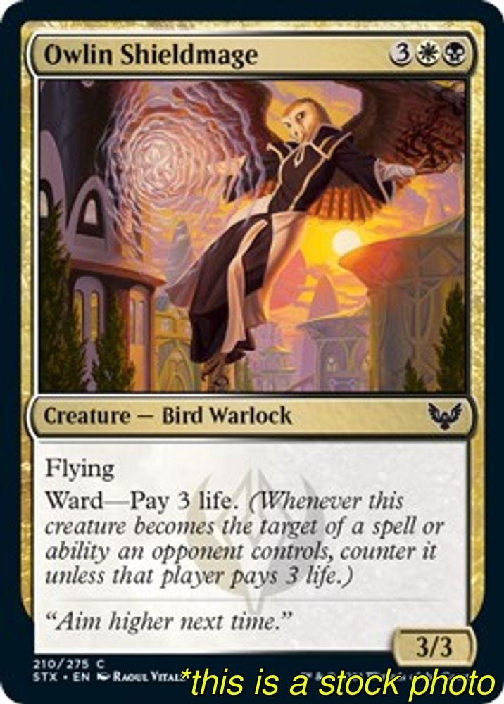 Magic Owlin Shieldmage Strixhaven: School of Mages 210 Lightly Played