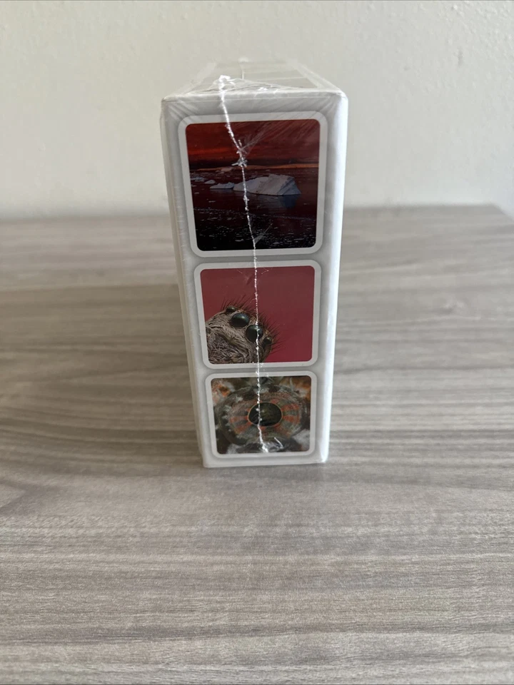 OuiSi Nature Visual Connection 210 Connecting Photo Cards Games Activities New - Image 4 of 4