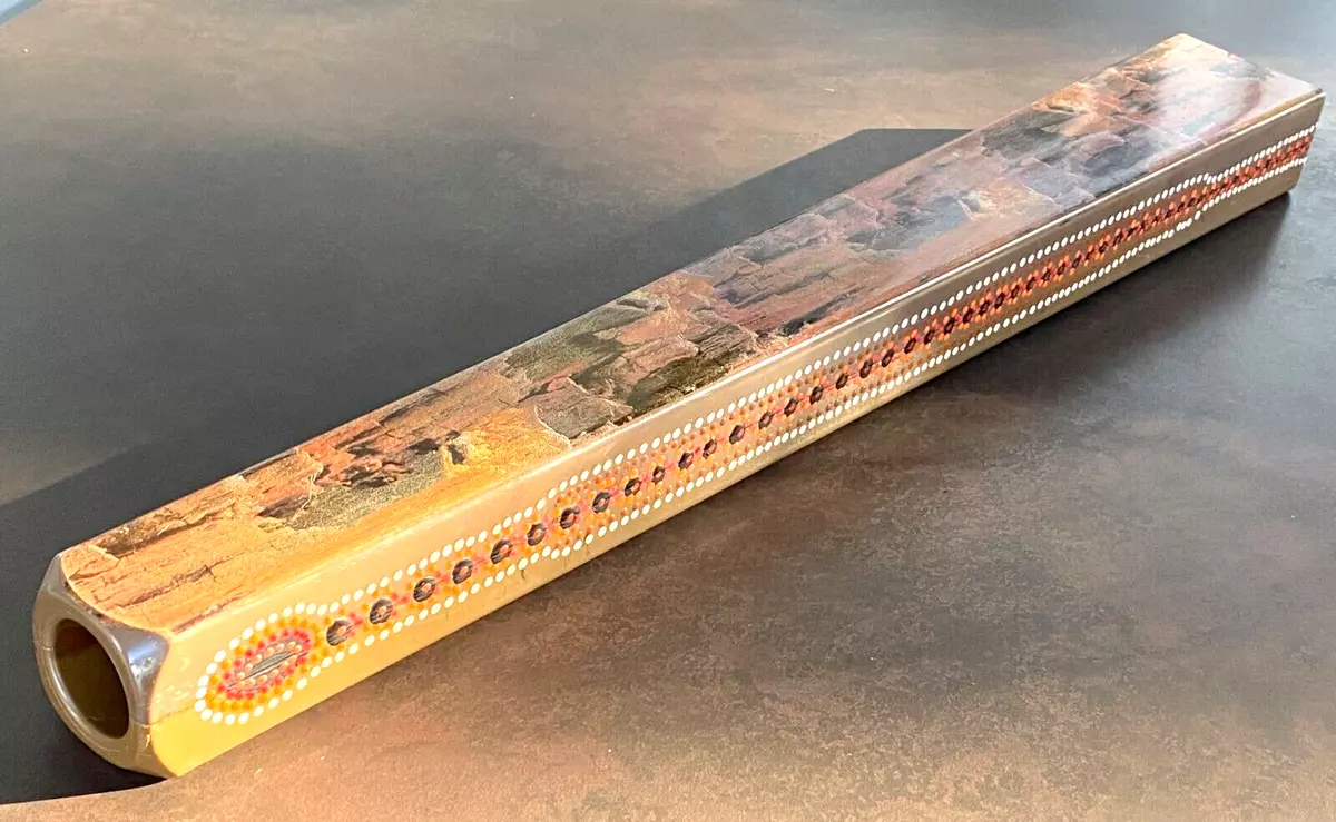 Ebay didgeridoo outlet