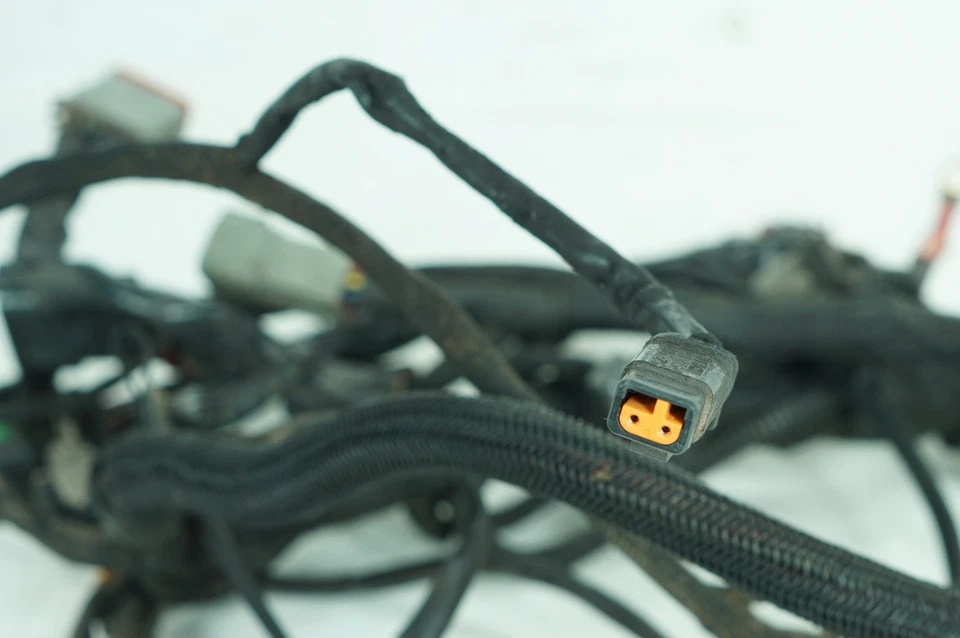 Harley Sportster XL1200 C 2005 personalizada OEM cableado principal arnés telar 70139-05 Foto 4 de 4