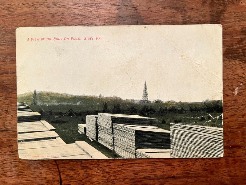 View of the Sigel Oil Field Sigel PA Postcard Lumber Logging