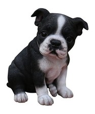 Hi-Line Gift Ltd Sitting Boston Terrier Puppy Statue