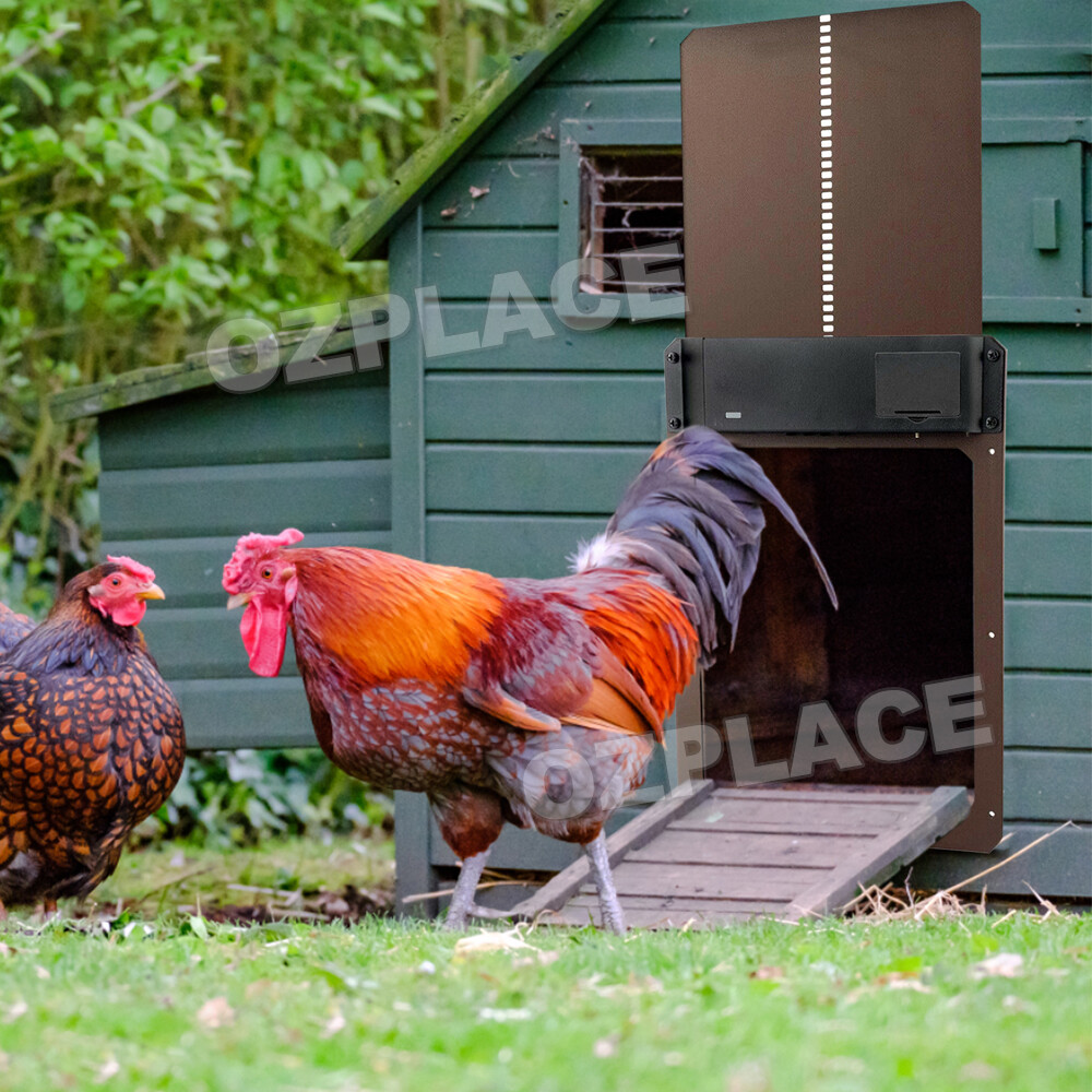 Waterproof Chicken Coop Door Opener Light Sensor Automatic Chicken
