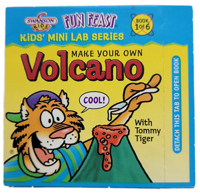 Swanson Kids 1997 Fun Kids' Mini Lab Series Book 1 of 6 Make Your Own Volcano