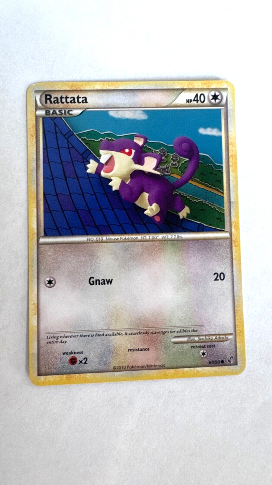 RATTATA 64/90 - Undaunted - Common  - 2010 -  NM