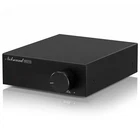Subwoofer Amplifier Mini HiFi Mono Channel Amp for Bass Shaker Home Theater 100W