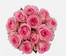 Fresh Mixed Roses   35 Stems in Various Colors