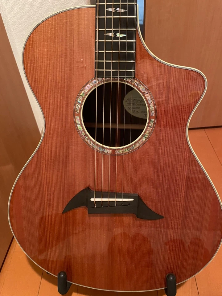 Breedlove focus se edición especial Foto 3 de 4