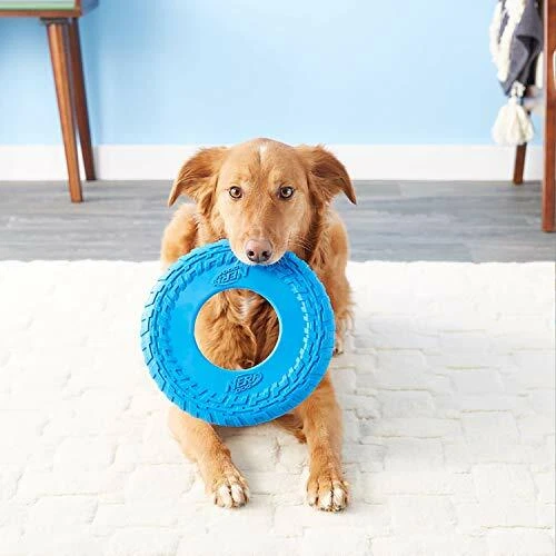 Nerf Dog Rubber Tire Flyer Dog Toy Frisbee Lightweight Durable, Blue - Image 3 of 4