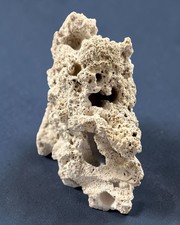 Riffstein Riffgestein Strukturstein – ultraleicht & extrem porös – Unikat