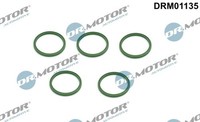 Neu - Dr.Motor Automotive DRM01135 Dichtring, Ladeluftschlauch FüR Audi Seat Vw