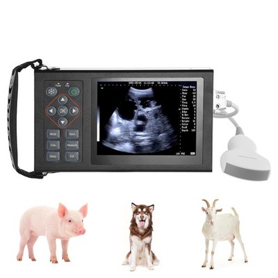 Metal Body Vet Ultrasound Machine, Fast Heat Dissipation, Smart Backfat Labeling