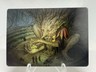 MTG secrets Of Strixhaven Art Series Old Growth Educator Vincent C 20/54