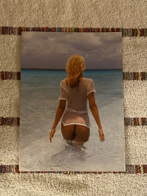 Ein Playboy Playmate Poster / Centerfold mit Celina Wieczorek.