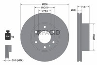 2X Pagid Bremsscheibe InnenbelüFtet Ø300Mm FüR Iveco Daily IV