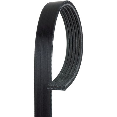 Acdelco 5K429 V Ribbed Serpentine Belt