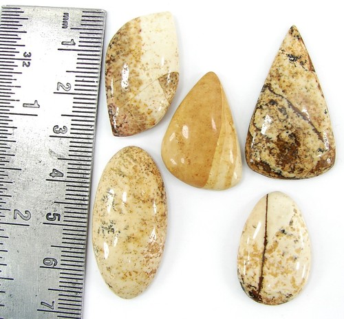 104,90 Ct Naturbild Jaspis loser Edelstein 25-35 mm Cabochon 5 Stck. Posten-1069 - Bild 2 von 2