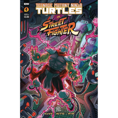 TMNT Vs Street Fighter #4 Cover A Medel