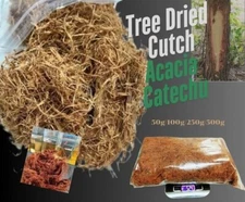 Tree Dried Cutch Acacia Catechu Prevents Disease Shiny Scales Beautiful Colors