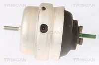 Motorlager Triscan 8505 29105 FüR Audi A4 B6 8E2 Avant 8E5 B7 8EC 8ED 8HE Tfsi