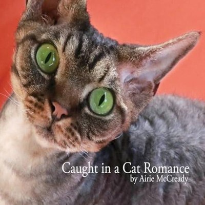 Caught in a Cat Romance Airie McCready Hardcover Aber Stoat Publi