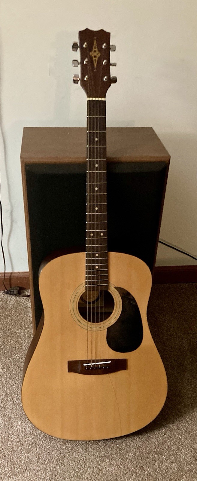 Vtg 1970??s Alvarez Regent Series 6-String Dreadnought Acoustic Guitar Hard Case