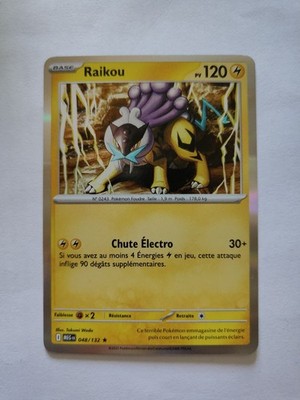 Pokemon Karte - Raikou Holo 048/132 - Mega Evolution ME01