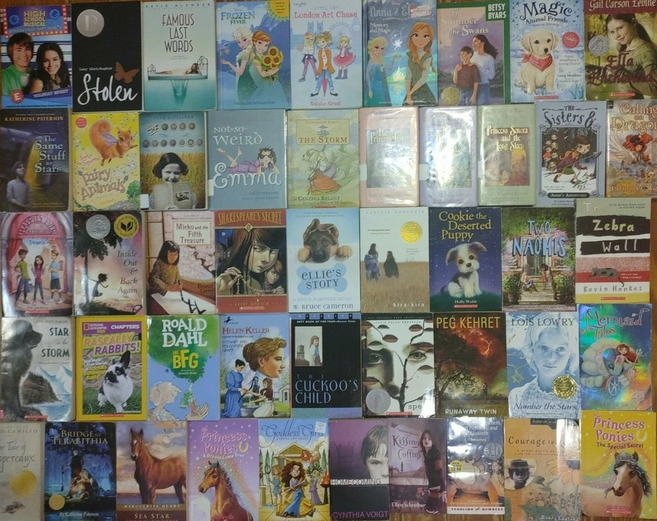 RANDOM Lot of 15 4th Grade AR Chapter Books RL Level 4.0-4.9 Homeschool Teacher - Image 4 of 4