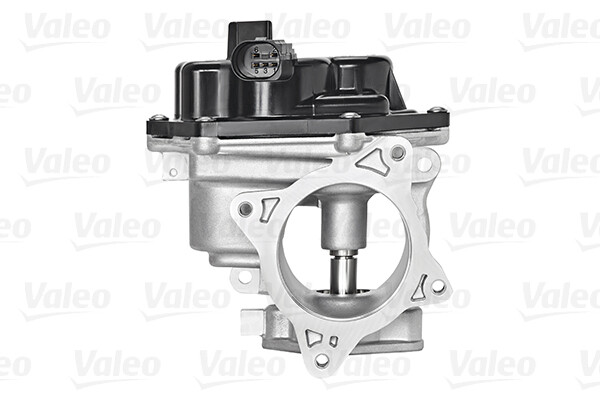 700448 VALEO EGR Valve for VW