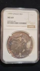 1999 American Silver Eagle 1 oz.         MS69  NGC.   Black Toning