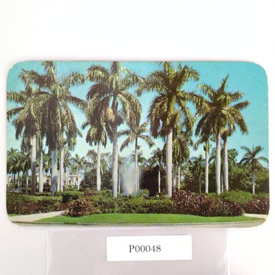 Vintage 1956 Postcard Royal Palms Fountain Scene Sunny Florida Kodachrome Retro