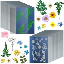 38 Sheets Cyanotype Sun Print Kit With 2 Clear Acrylic - High White