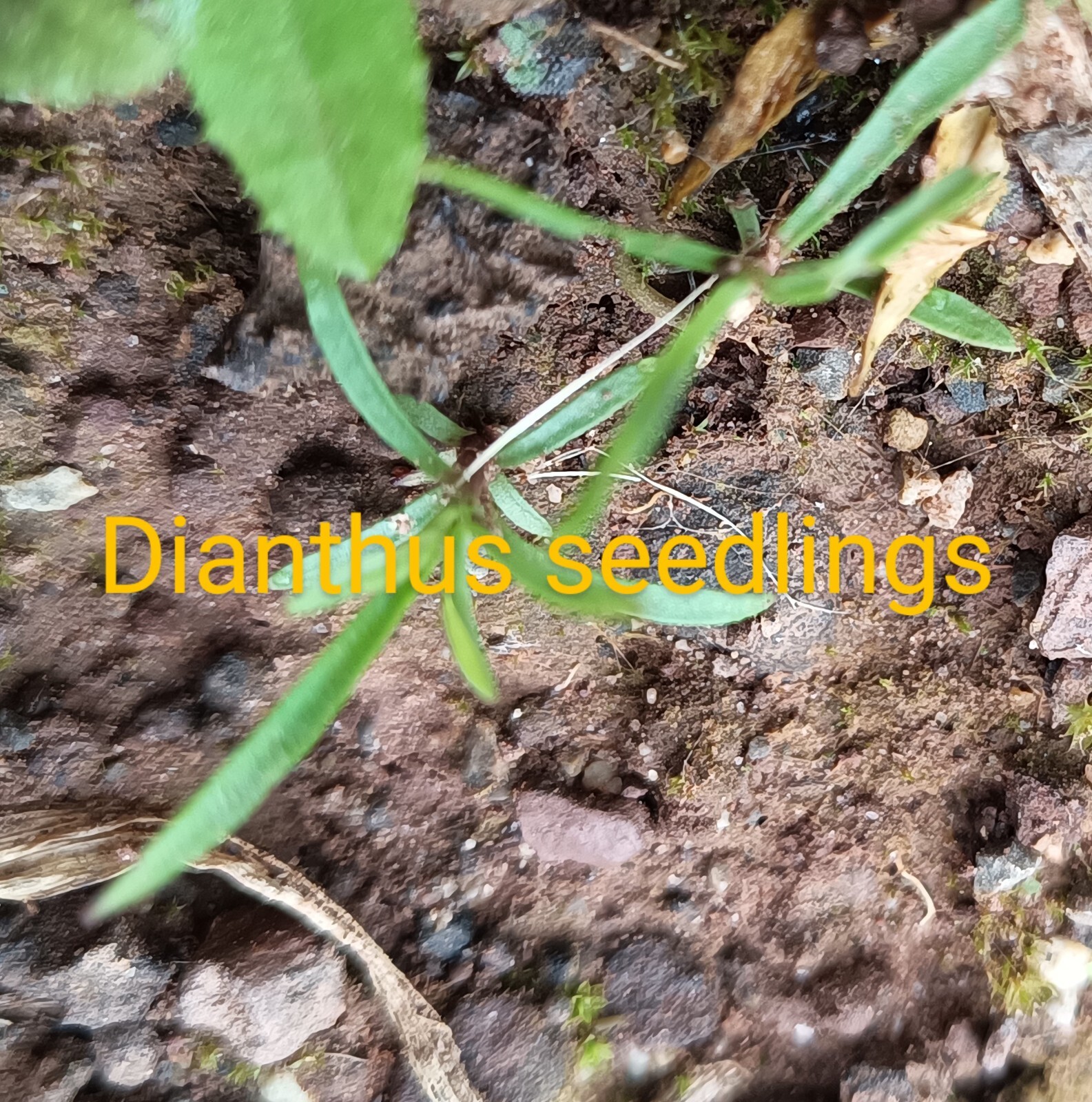 Foto 12 di 16