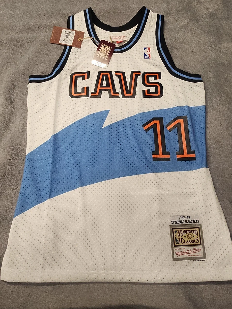 Zydrunas Ilgauskas Cleveland Cavaliers Mitchell & Ness Hardwood