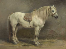 A White Horse 1866 by Rosa Bonheur Museum Giclee Art Print Ships Free