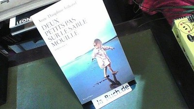 Deux petits pas sur le sable mouille. Temoignage. Julliand, Anne.Dauphine: