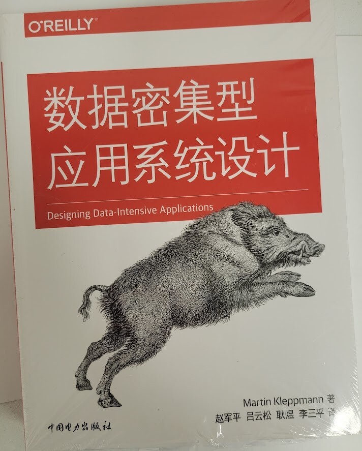 洋書 Designing Data-Intensive Applications Designing Data-Intensive Applications (Chinese Version