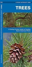 Trees : A Folding Pocket Guide to Familiar North American Species 
