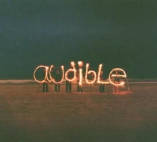 Sky Signal- Audible (CD, Marked Promo 2005) Near Mint