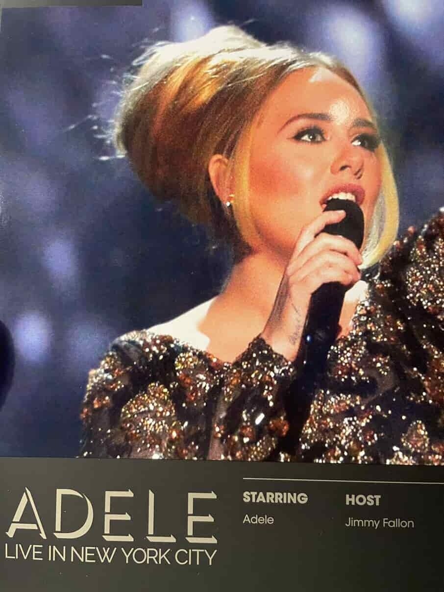 Adele - Live 2016 - Treatment Studio